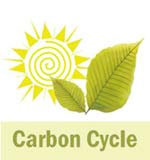 Carbon Cycle icon, with a sun and leaf.