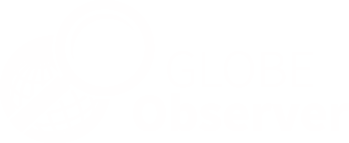 Globe Observer Logo